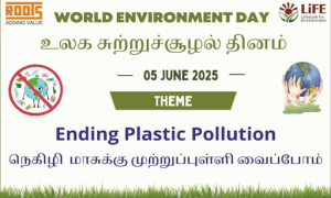 environmental day1